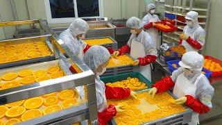 Healing Drying Oranges and Marshmallows in Bulk   Dry food mass production factory