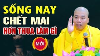 Sống nay chết mai hơn thua làm gì - Thầy Thích Nhuận Đức nghe mà thấm từng lời