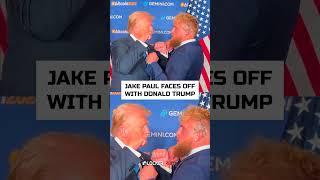 Who wins this boxing match  Donald Trump or Jake Paul?