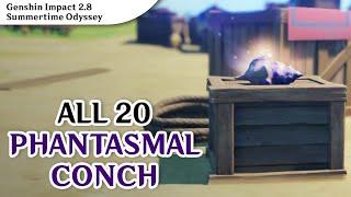 All 20 Phantasmal Conch Locations  Genshin Impact 2.8