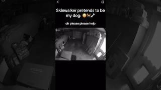Skinwalker DISGUISED as DOG 