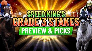 Grade 3 Ms. Preakness Stakes Preview & Picks  Pimlico 10th Race 5192023 Opening Weekend