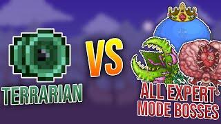 Terraria  Terrarian vs. All Expert Mode Bosses