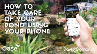 How to take care of your pond using your mobile phone