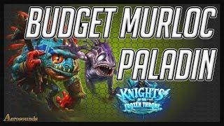 Hearthstone Budget decks 2017 - Murloc Paladin - Knights of the frozen throne KFT