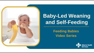 Feeding Babies Video Series – Baby-led weaning