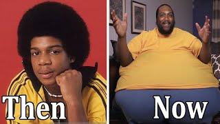 WHATS HAPPENING 1976 Cast Then and Now 2024 How they changed