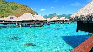 Vacation Mindset Tropical Hotel Ambience From French Polynesia