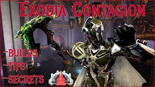 How to build a Zaw for Exodia Contagion - DEVASTATING builds and tricks