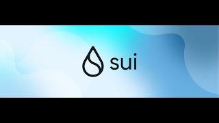 Video for SUI Ambassador Program