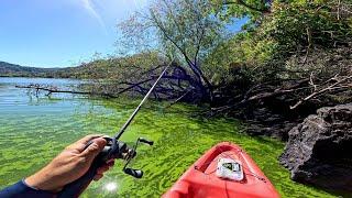 COMO Pescar en Aguas Verdes con Señuelos  Laguna en el Bosque