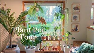 Plant Pot Tour  my collection of planters
