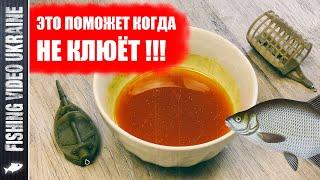 САМЫЙ ПРОСТОЙ АКТИВАТОР КЛЁВА НА ЛЮБУЮ МИРНУЮ РЫБУ  @FVU #fishing #рыбалка #активаторклева #feeder