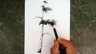How to draw birch tree with step by step. landscape part - 1.