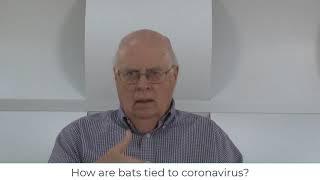 Video 2 How are bats tied to coronavirus?