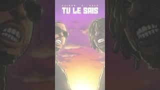 Kalash & Gazo - Tu le sais Speed Up #speedsongs #speedup #speedupsongs #newmusic #shorts