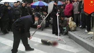 Chinese police beat dog to death in public