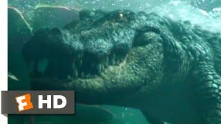 Crawl 2019 - Swimming Through the Pipe Scene 610  Movieclips