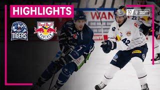 Straubing Tigers - EHC Red Bull München  PENNY DEL  MAGENTA SPORT