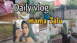 Daily vlog mama Zalu@rumahzalu8236