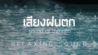 เสียงฝนตก ฟังก่อนนอนสำหรับผ่อนคลาย 2 ชั่วโมงเต็ม「RELAXING SOUNDS」