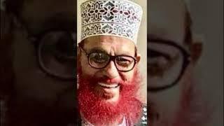 মাওলানা দেলোয়ার হোসেন সাঈদীর জীবনী  Delwar Hossain Sayeedi Biography #shorts #sayeedi