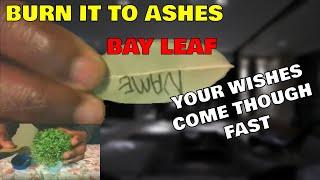 BAY LEAF Is One Easy Powerful SPELL That Makes Your Wishes Come Through