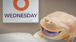 It is Wednesday