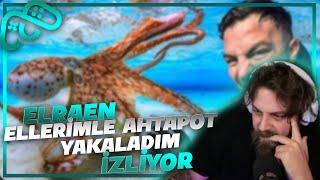 Elraen Ellerimle Ahtapot Yakaladım İzliyor @DeliMiNe