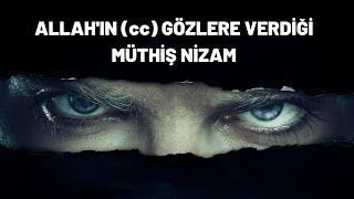 GÖZLERİN İNANILMAZ YARATILIŞI  EYES