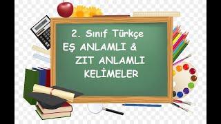 2.Sınıf Türkçe Eş Anlamlı ve Zıt Anlamlı Kelimeler