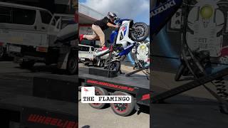 Doing the FLAMINGO WHEELIE ON SUZUKI GIXXER 1000 #tricks #wheelie