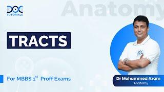 Tracts  Anatomy for MBBS 1st Proff Exam Preparation  Dr Mohammed Azam  DocTutorials