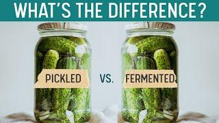 PICKLING vs FERMENTING - Whats the Difference? Quick Grocery Store I.D.