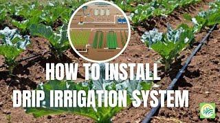 HOW TO INSTALL DRIP IRRIGATION?  TIPS FOR DRIP IRRIGATION  INSTALLATION  DRIP IRRIGATION SYSTEM