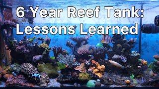 7 Lessons I Learned From Keeping A Reef Tank For 6 Years