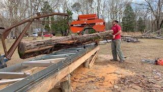 BEAUTIFUL Red Cedar on the Wood Mizer LT10