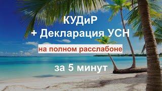 Как заполнить КУДиР книгу доходов и расходов за 5 минут