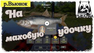 Russian Fishing 4 #РР4... р. Вьюнок - Подуст на Мах. Русская рыбалка 4 #рр4