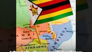 Krisis mata uang zimbabwe