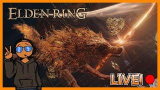 Live - They call me the Academy Slasher  Elden Ring