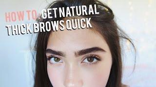 How To Grow Eyebrows FAST Thick & Natural