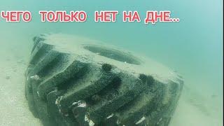 Богатства японского моря. Дайвинг Приморский край. Жизнь в Приморье дайвинг.Мидииустрицы