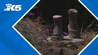 Statue of girl who survived Hiroshima bombing missing from Seattle park