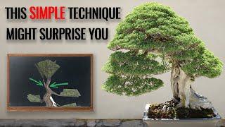 SIMPLE bonsai technique to mature your bonsai tree sooner    how to develop a bonsai apex