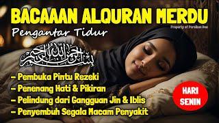 Al Quran Merdu Pengantar Tidur Surah Al Mulk Ar Rahman Al Waqiah Penenang Hati & Pikiran