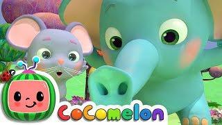 The Sneezing Song  CoComelon Nursery Rhymes & Kids Songs