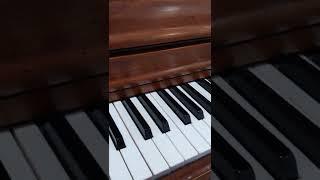 How a #Fullauto #Femboy tunes a piano #Shorts