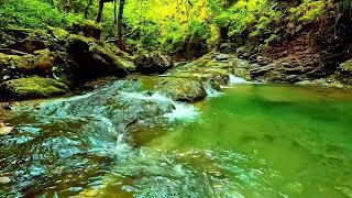 Deep Sleep Music  Meditation Music Sleep Calm Music Zen Relax  Study Music Sleep Music #calm