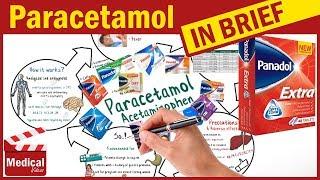 Paracetamol 500mg  Panadol  Uses Dosage Side Effects and Contraindications